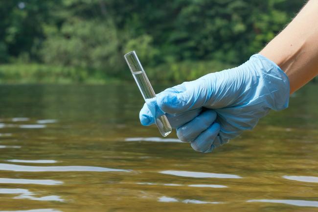 Wasserprobe