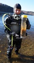 Scientific diver with equipment and an underwater sediment sample including a freshwater sponge