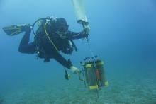 Transport carrier for the transportation of sediment and soil samples 